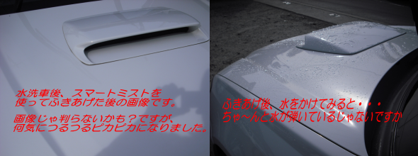 SMARTMIST